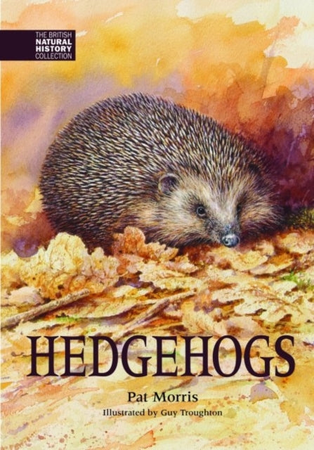 Hedgehogs 9781873580905 Pat Morris