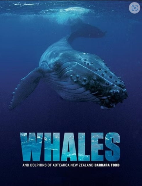 Book cover of: Whales and Dolphins of Aotearoa New Zealand. By: Barbara Todd