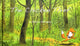 Book cover of: Chicken Thief. By: RODRIGUEZ, BEATRICE