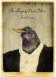 Book cover of: Sleep of Four Cities, The. By: Jen Currin