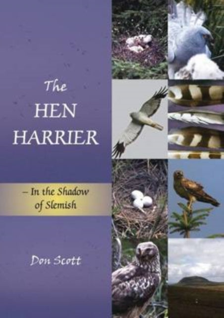 Book cover of: Hen Harrier. By: Don Scott