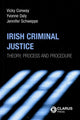 Book cover of: Irish Criminal Justice. By: Vicky Conway