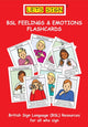 Book cover of: Let's Sign BSL Feelings & Emotions Flashcards