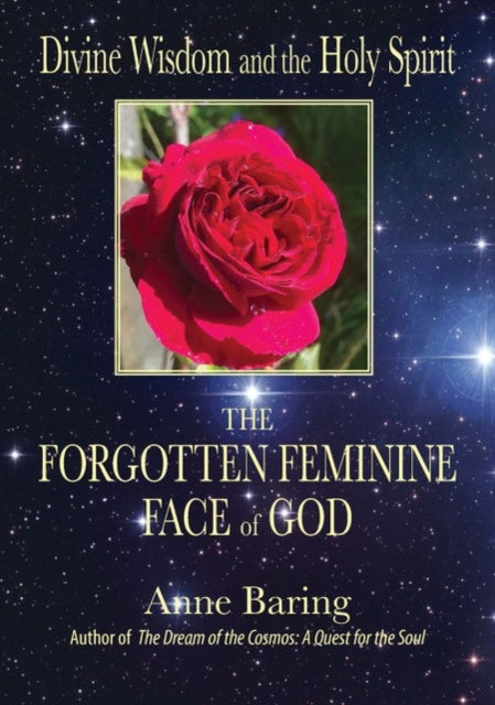 Book cover of: Divine Wisdom and the Holy Spirit: