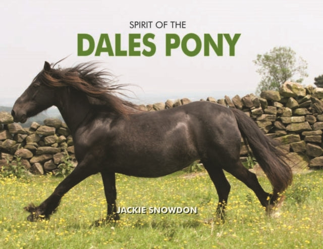 Book cover of: Spirit of the Dales Pony. By: Jackie Snowdon