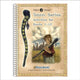 Book cover of: Phonic Books Totem Activities. By: Phonic Books