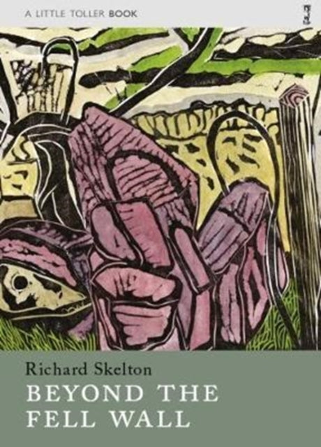 Book cover of: Beyond the Fell Wall. By: Richard Skelton