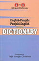 Book cover of: English-Punjabi & Punjabi-English One-to-One Dictionary. Exam Suitable: Script & Roman