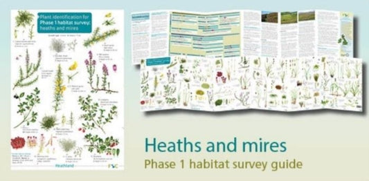 Book cover of: Plant identification for Phase 1 habitat survey: heaths and meres