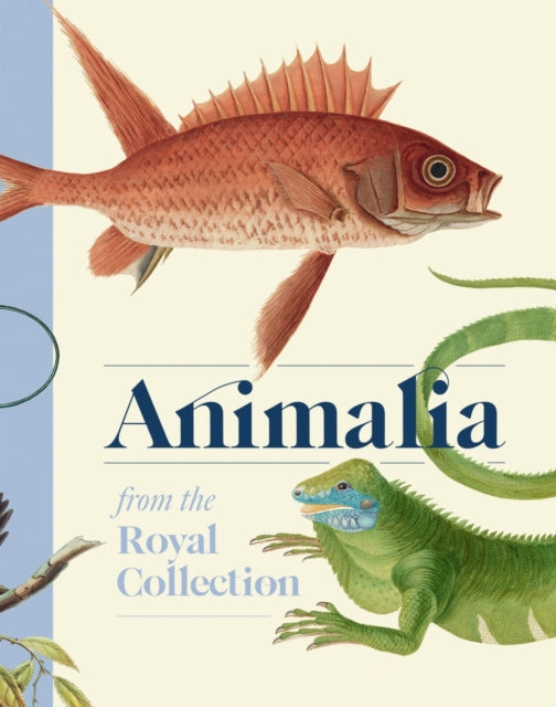Book cover of: Animalia