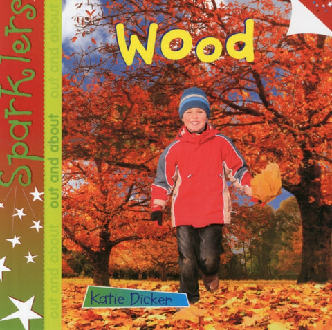 Wood, Sparklers - Out and About