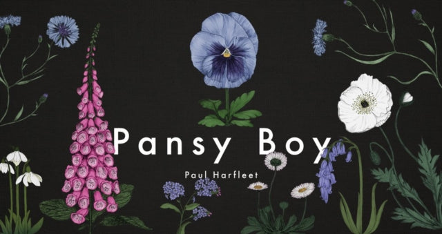Book cover of: Pansy Boy. By: Paul Harfleet