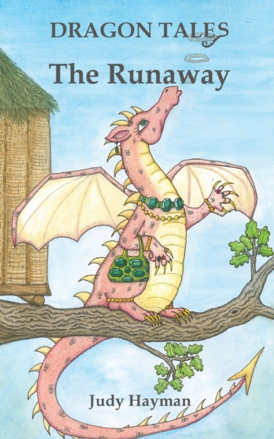 Book cover of: Runaway. By: Judy Hayman