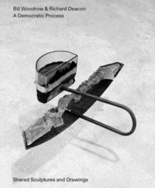 Book cover of: Bill Woodrow & Richard Deacon - a Democratic Process: Shared Sculptures and Drawings. By: Bill Woodrow