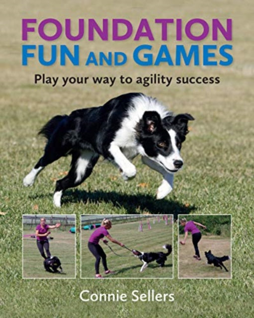 Book cover of: Foundation Fun And Games