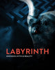 Book cover of: Labyrinth. By: SHAPLAND