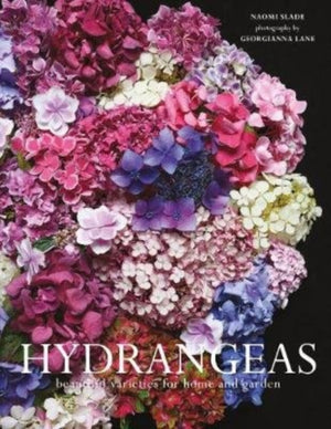 Hydrangeas, Beautiful Varieties for Home and Garden
