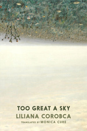 Too Great A Sky