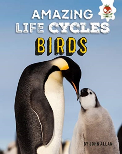 Book cover of: Amazing Life Cycles-Birds