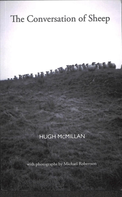 Book cover of: Conversation of Sheep. By: Hugh McMillan