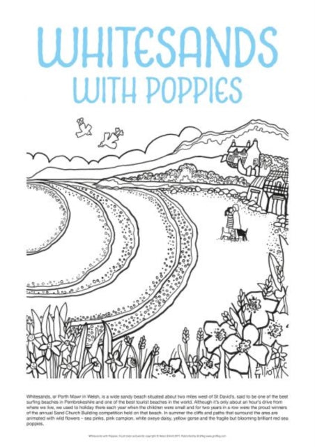 Book cover of: Helen Elliott Poster: Whitesands with Poppies