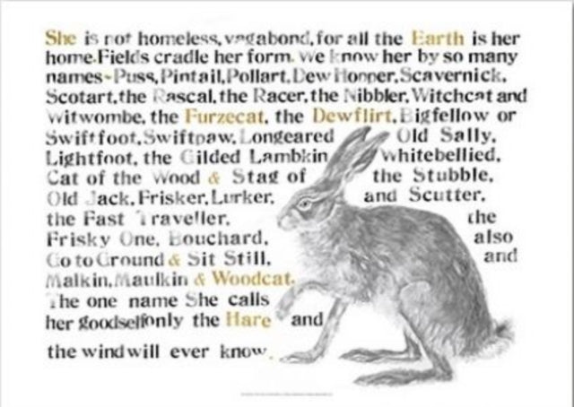 Book cover of: Jackie Morris Poster: Names of the Hare, The