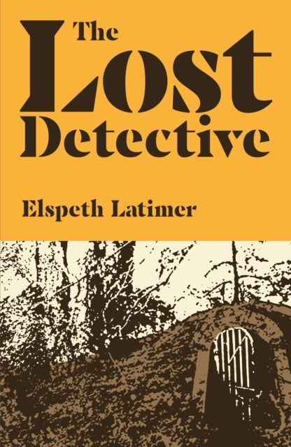 Book cover of: Lost Detective