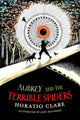 Book cover of: Aubrey and the Terrible Spiders. By: Horatio Clare