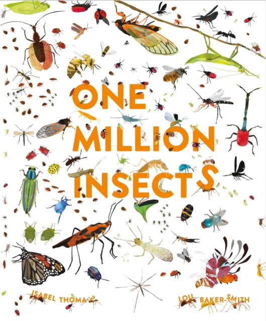 Book cover of: One Million Insects. By: Isabel Thomas