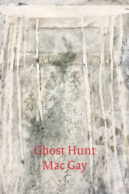 Ghost Hunt 9781913606787 Mac Gay