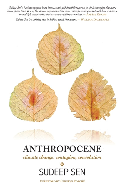 Anthropocene