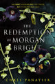 Book cover of: Redemption of Morgan Bright. By: Chris Panatier