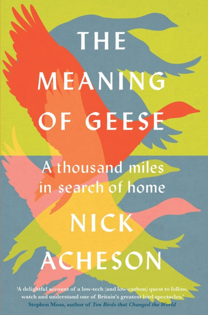 The Meaning of Geese
