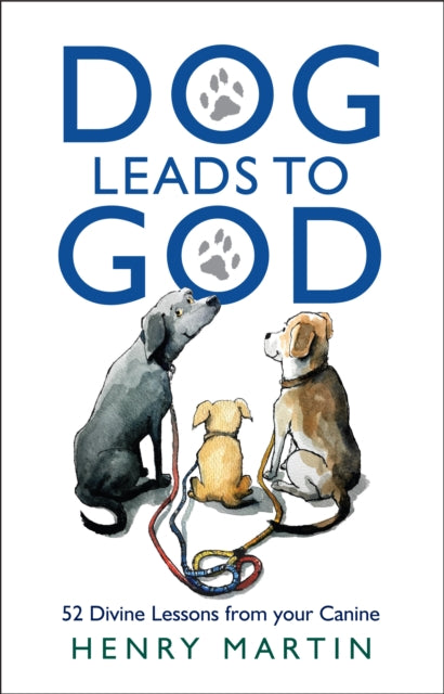 Book cover of: Dog Leads to God
