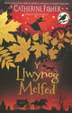Book cover of: Y Llwynog Melfed