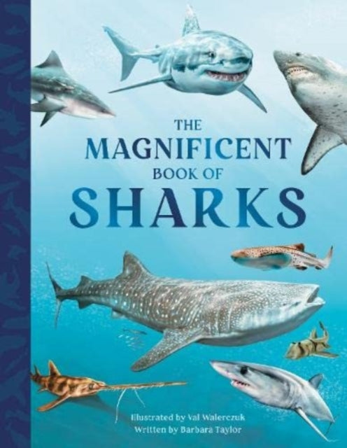 Book cover of: Magnificent Book of Sharks. By: Barbara Taylor