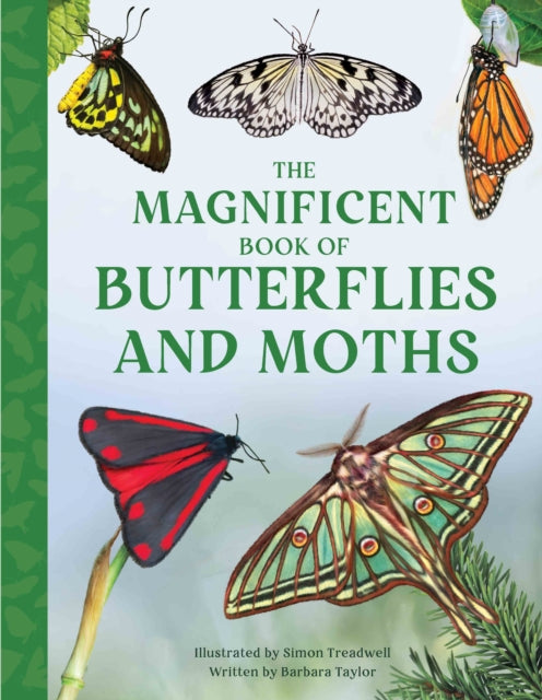 Book cover of: Magnificent Book of Butterflies and Moths. By: Barbara Taylor