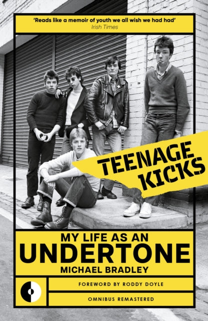 Book cover of: Teenage Kicks