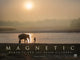 Magnetic, Humanity and the Asian elephant 9781915951557 Larry Laverty