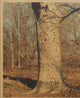 Book cover of: Common Place