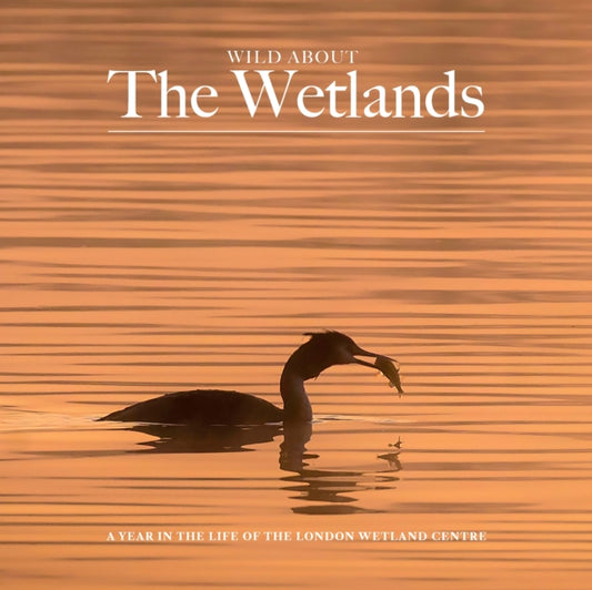 Book cover of: Wild about The Wetlands. By: Andrew Wilson