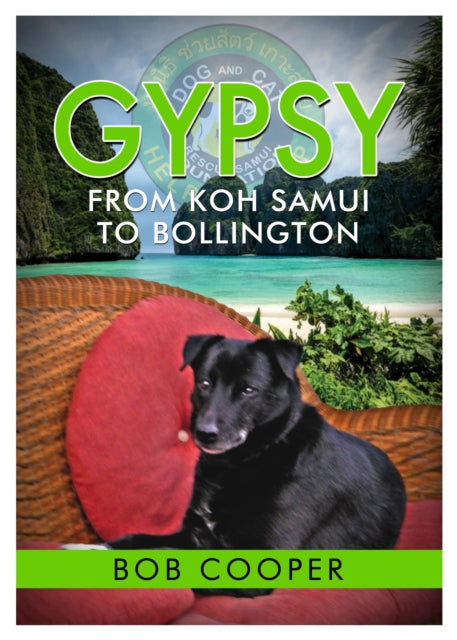 Book cover of: Gypsy - From Koh Samui to Bollington