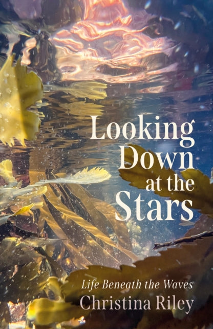 Book cover of: Looking Down at the Stars