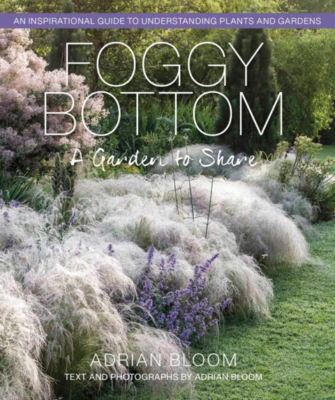 Foggy Bottom