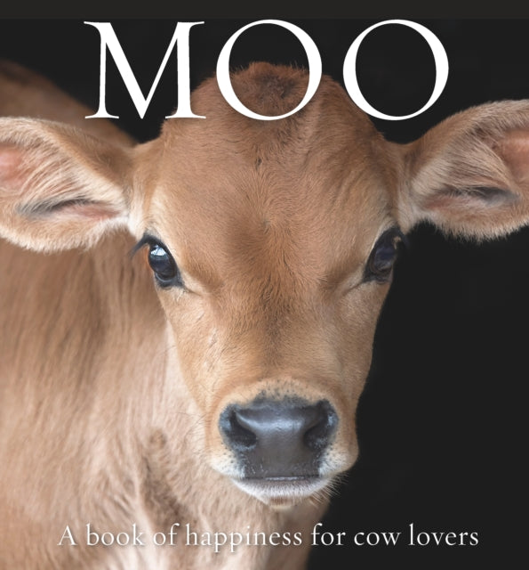 Book cover of: Moo. By: Angus Galloway