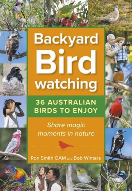 Backyard Birdwatching
