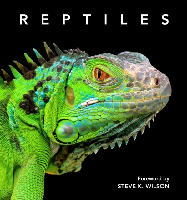 Book cover of: Reptiles. By: Steve Wilson