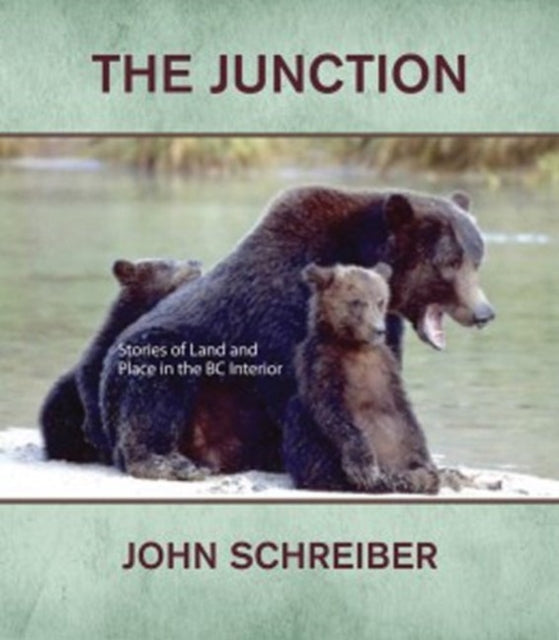 Book cover of: Junction. By: John Schreiber