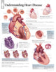 Book cover of: Understanding Heart Disease Paper Poster. By: Scientific Publishing