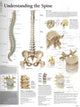Book cover of: Understanding the Spine Paper Poster